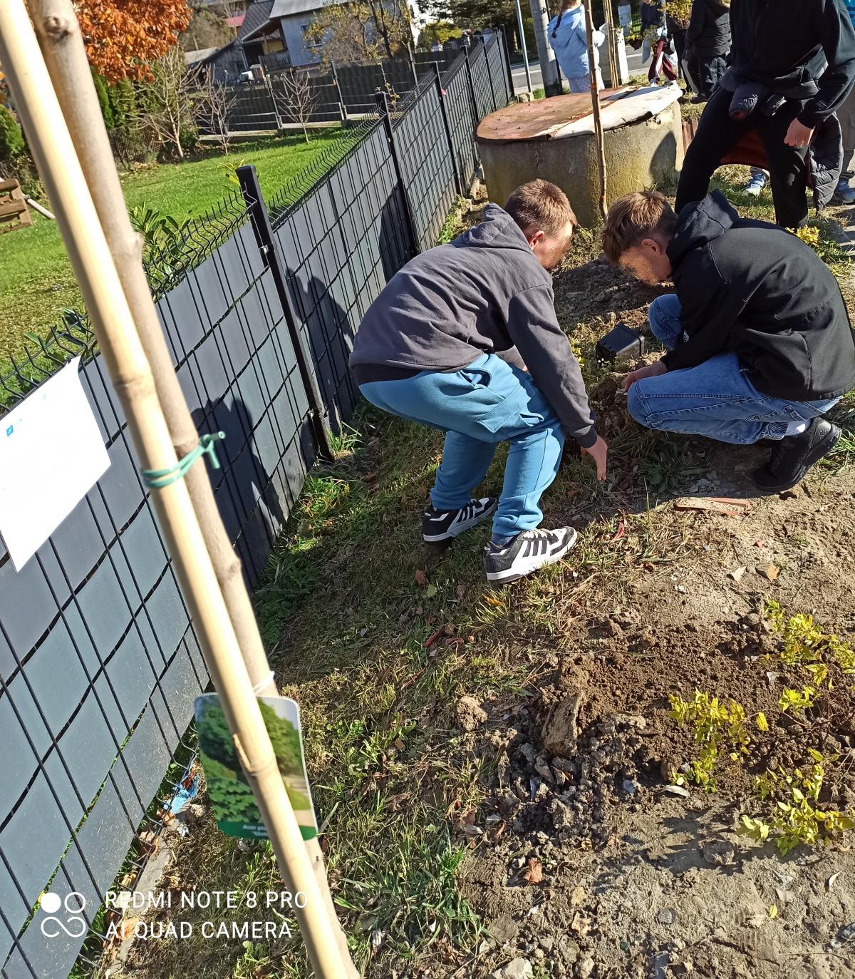 Dw&oacute;ch chłopc&oacute;w sadzi drzewko w parku. Obok ogrodzenie, studnia i inne osoby. Słoneczny dzień.
